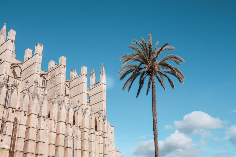 palm tree beside brown building under cloudy sky